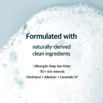 Round Lab 1025 Dokdo Cleanser