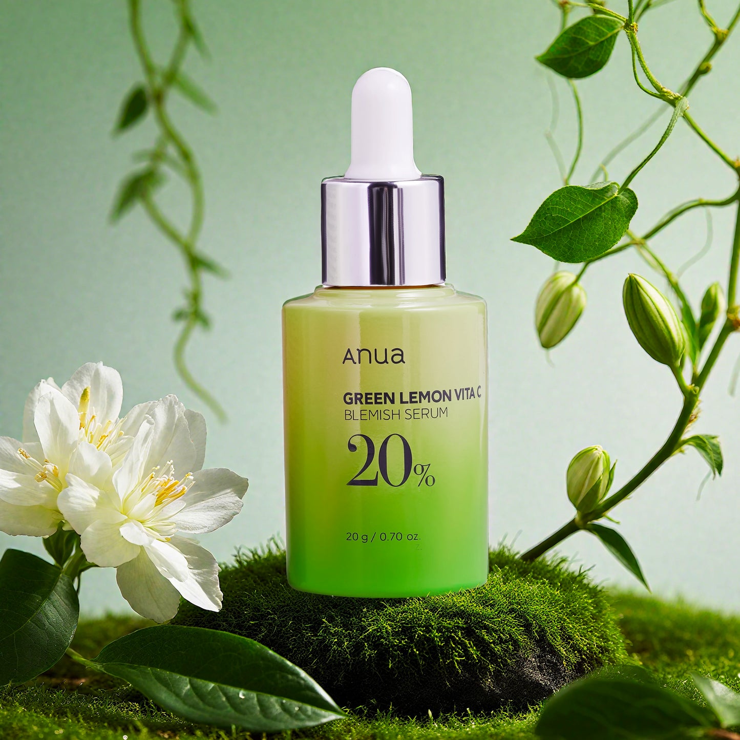 Transform Your Skin with Korean Skincare Vita C Serum - 20% Niacinamide & Vitamin C for Radiance and Spot Reduction